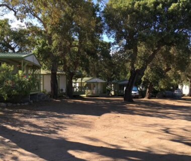 Allée ombragée avec mobil-homes dans la pinède au Camping Pezza Cardo