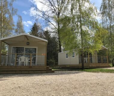 Emplacement gravillonné avec mobil-homes et terrasses sous bouleaux au Camping Porte des Vosges