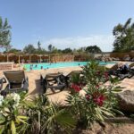 Piscine et transats au bord du camping Porto Vecchio