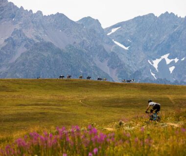 Prairie alpine avec cycliste et fleurs au Camping RCN Belledonne