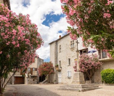Place villageoise avec maisons en pierre et arbustes fleuris au Camping RCN La Bastide en Ardèche