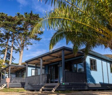 Mobil-homes et palmiers au camping RCN Port l'Epine