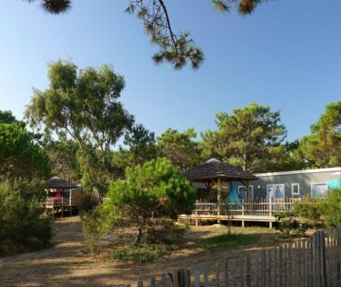 Allée sablonneuse et mobil-homes sous pins en Haute-Corse au Camping San Damiano