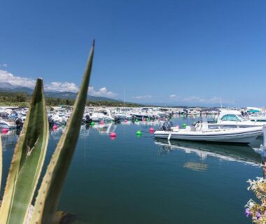 Port de plaisance avec bateaux et plantes au Camping Sole Di Sari
