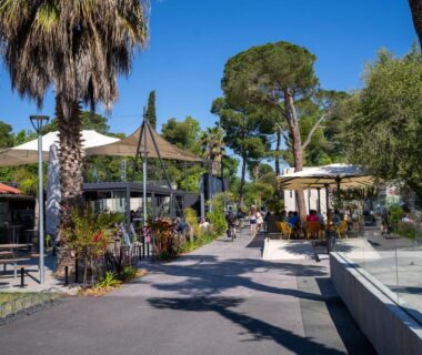 Allée centrale avec terrasses et palmiers au Camping Taxo Les Pins