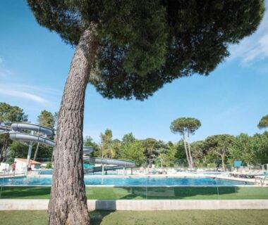 Piscine extérieure entourée de pins au Camping Taxo Les Pins