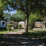 Allée gazonnée et mobil-homes ombragés au Camping Terre d'Armor