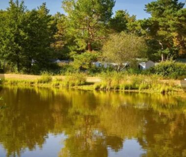 Étang bordé d'arbres et mobil-homes au Camping Tohapi Coeur de Vendée