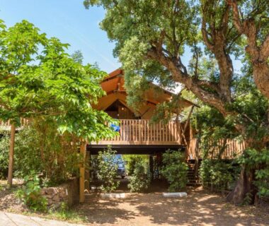 Allée ombragée et chalet sur pilotis entourés d'arbres au Camping U Pirellu