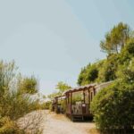 Allée bordée de mobil-homes et maquis au Camping VAL FLEURI ATC Cagnes-Sur-Mer