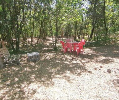Sous les arbres table et chaises rouges au Camping au calme