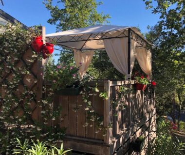 Terrasse ombragée avec pergola et plantes en fleurs au Camping de Parpaillon