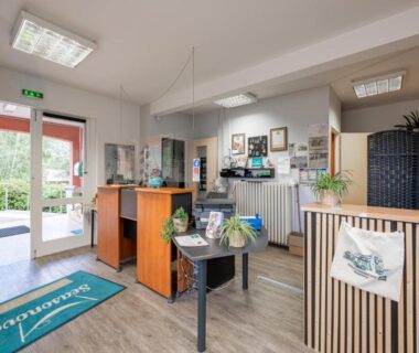 Réception intérieure avec comptoir et brochures au Camping de Saverne