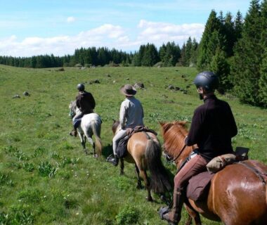 Prairie boisée avec cavaliers à cheval en randonnée au Camping de Tauves