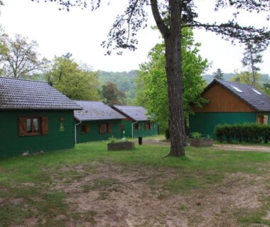 Allée herbeuse et chalets en bois au milieu des arbres au Camping de la Pelouse