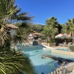 Piscine et transats entourés de palmiers au Camping de la Treille