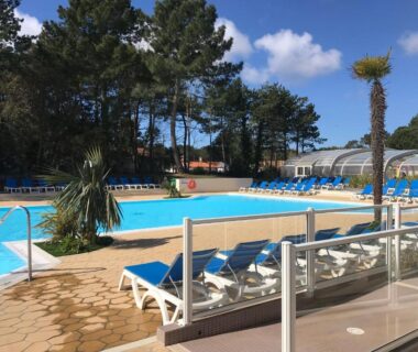 Piscine extérieure avec transats et palmiers au Camping du Bois Dormant