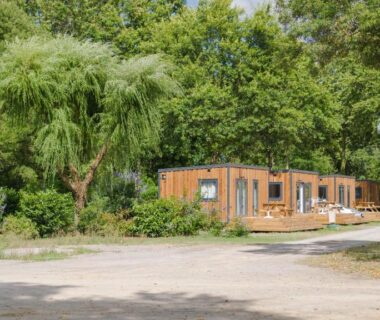Allée bordée d'arbres et mobil-home en bois au Camping du Chêne