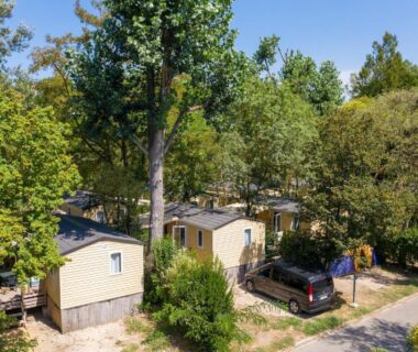 Allée de mobil-homes ombragés dans le Camping du Pont d'Avignon