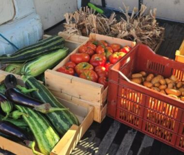 Au stand de légumes caissettes de tomates aubergines et courgettes au Camping du Vignal