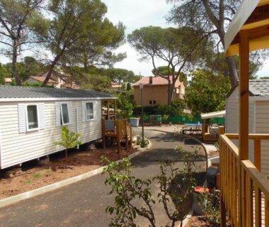 Allée ombragée entre mobil-homes et pins dans le camping l'Eléphant