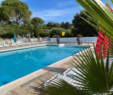Piscine extérieure entourée de transats et palmiers au Camping la Paoute