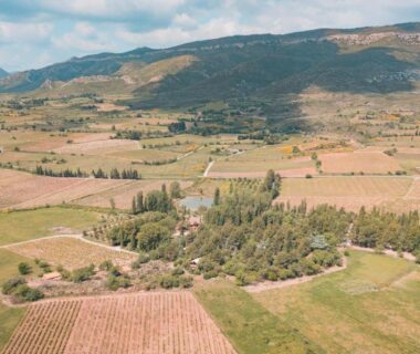 Paysage de vignes et petits bâtiments au Camping la Peiriere