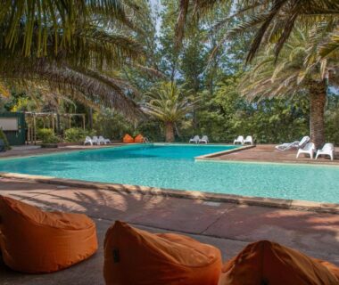 Piscine entourée de palmiers et transats au Camping la Peiriere Chalet et Mobile-home