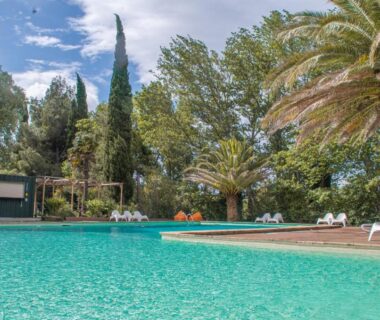 Piscine entourée de palmiers et chaises longues au Camping la Peiriere Chalet & Mobile-home
