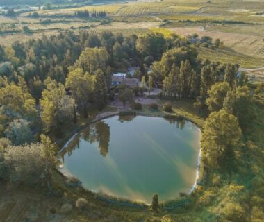 Étang entouré d'arbres et prairie au Camping la Peiriere Chalet et Mobile-home