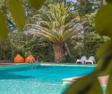 Piscine turquoise entourée de palmiers et transats au Camping la Peiriere