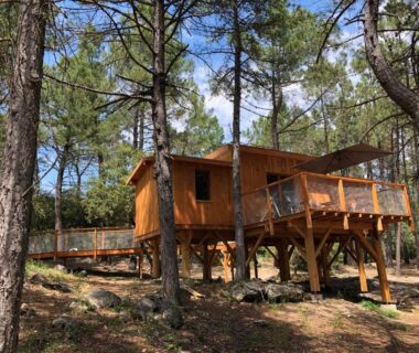 Cabane sur pilotis parmi les pins au Camping la Simioune