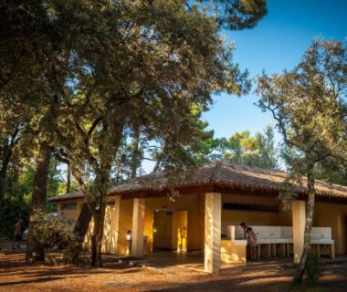 Bâtiment ombragé avec terrasse dans un sous-bois au Camping la Sousta