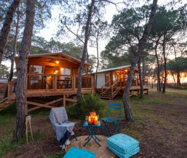 Terrasse en pinède avec coin feu au Camping la Tamarissière