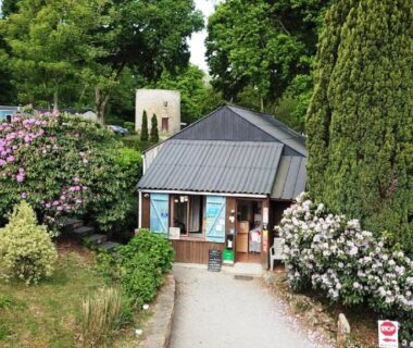 Allée d'entrée bordée de rhododendrons et d'arbres au Camping le Balcon de la Baie