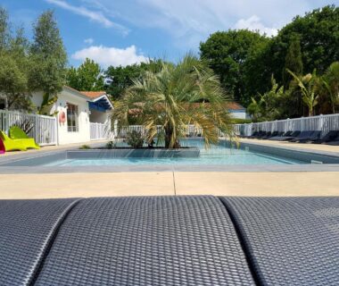 Piscine avec palmier et transats au Camping le Marache