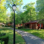Allée ombragée bordée de chalets en bois au Camping le Relais du Léman