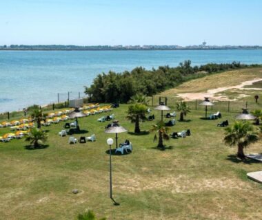 Bord du lac avec transats et palmiers au mobil home Séléna du Camping le lac des rêves