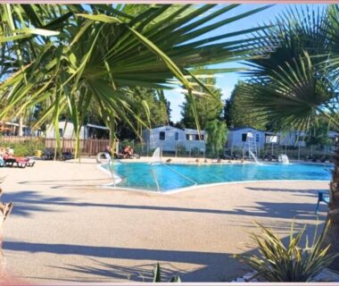 Piscine extérieure entourée de palmiers au Camping les Sables du Midi