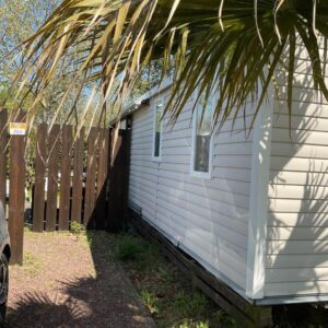 Allée latérale du mobil-home avec palmiers au Camping loyoda