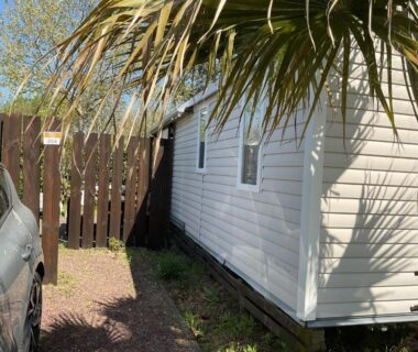 Allée latérale du mobil-home avec palmiers au Camping loyoda