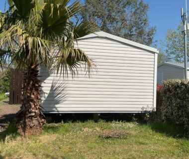 Emplacement herbeux avec mobil-home blanc et palmier au Camping loyoda