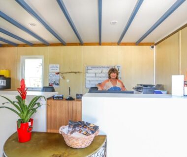 Réception avec comptoir plante et hôtesse au Camping maeva Escapades Colomba