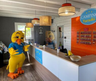 Accueil avec comptoir et mascotte dans le hall du Camping paradis les pins