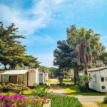 Allée de mobil-homes et palmiers dans le camping Cap du Roc