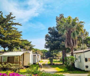 Allée de mobil-homes et palmiers dans le camping Cap du Roc