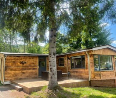 Chalet 9 personnes, piscine, terrasse