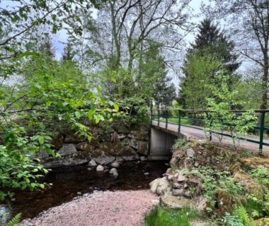 Rivière forestière avec petit pont près du Chalet 9 personnes piscine terrasse