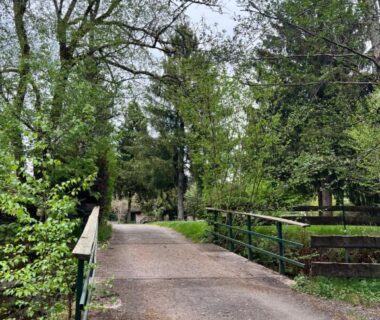 Allée et passerelle bordée d'arbres dans les Vosges menant au Chalet 9 personnes piscine terrasse
