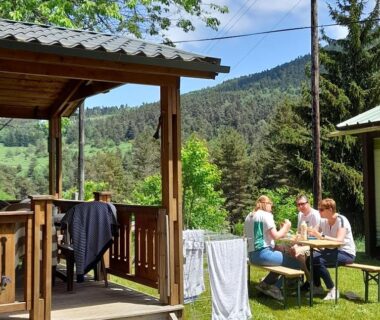 Terrasse de chalet et convives à table dans l'herbe au Camping les Sapins